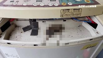 皂垢、黴菌、死老鼠　洗衣機比馬桶髒