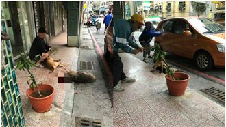 去年才知牠是比特犬　飼主友還原經過