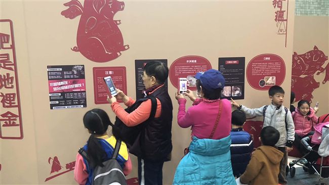 喜迎豬年智防豬瘟　科博館辦豬特展