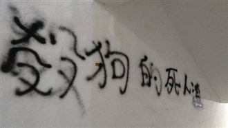 放任比特犬咬殺浪浪　網：殺狗死人渣