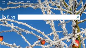 微軟搜尋引擎Bing遭中國封鎖 原因不明(圖/翻攝自BING搜尋引擎)