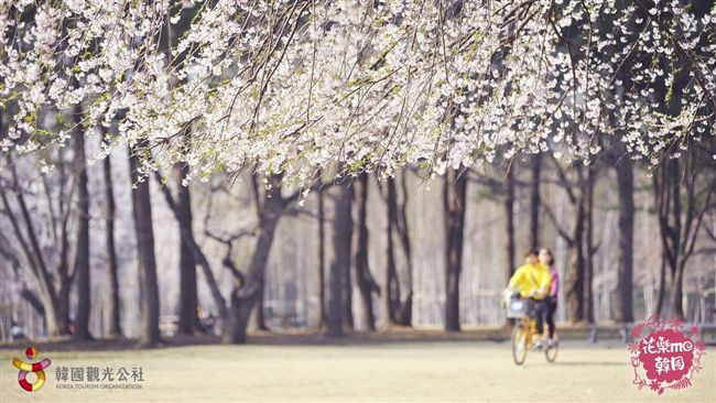 揪閨密玩韓國　享瘋韓流、拍美照樂趣