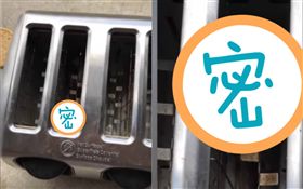 麵包機,地毯蟒蛇,澳洲,活烤　圖／YouTube