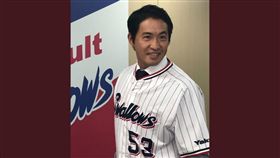 五十嵐亮太回歸養樂多。（圖／翻攝自養樂多推特）