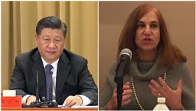 習近平,葛來儀(圖/資料照、中央社)