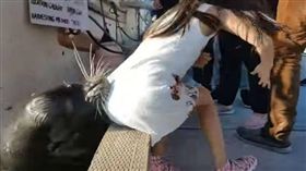 美國,阿拉斯加,海獅,攻擊（圖／翻攝自《Commercial Salmon, Albacore & Crab Fishers》臉書社團）