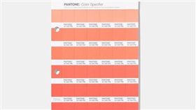 365天生日專屬顏色 翻攝網路　色票