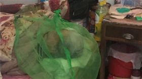 阿嬤捨不得開捕蚊燈，用紗網袋套頭睡覺。（圖／翻攝爆廢公社）