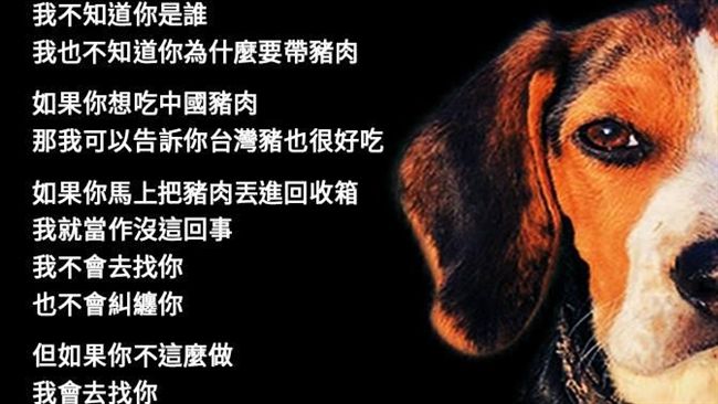 「護國神犬」米格魯　網：一坐值千金