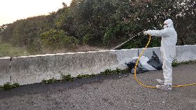 新豐棄置死雞確診禽流感　竹縣府追源頭