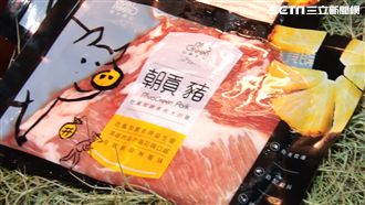 台灣豬好讚！唯一吃酵素長大的朝貢豬