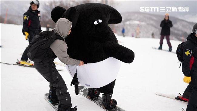 雪中的黑白生物　來貘竟被推下雪場…