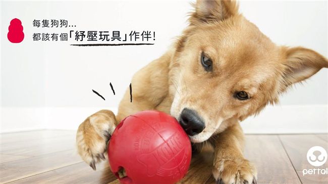 每隻狗狗都該有個「紓壓玩具」作伴