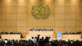 世界衛生組織,世衛,WHO,圖／美聯社／達志影像