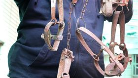 防捕獸夾殘害　動保團體盼再修動保法（2）動保團體一週來在高雄救回3隻遭捕獸夾傷腿的流浪狗，但救治後一共只剩9條腿，救援人員希望動保法應再修法，同時配合各縣市政府加強查緝捕獸夾。（台灣動物緊急救援小組提供）中央社記者陳朝福傳真　108年1月27日