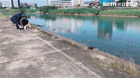 台北市南港區1名林姓老婦跳水自殺身亡（讀者提供）