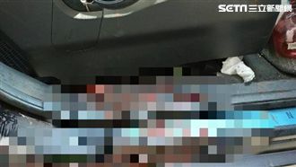 男國道駕車持刀殺妻　女全身血跳車