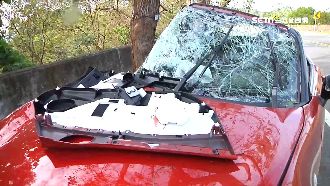 139縣道又車禍！敞篷車失控撞路樹