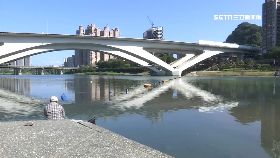 新店溪大魚.1200