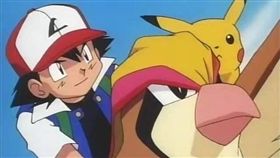 16:9
真「放鳥」！小智棄養比雕20年　網幫叫屈：臭渣男
圖／翻攝自PTT