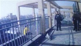 大陸,跳樓,自殺,負債,浙江,隱瞞,債主,討債,　圖／翻攝自微博