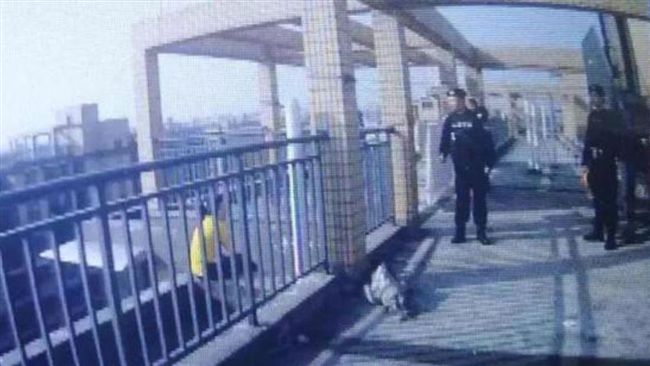 夫欠債百萬女想跳樓！警一句話打消
