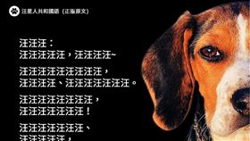 內政部臉書粉絲團「內政大小事—內政部」28日貼出多國語言「防疫犬會找到你」圖片。（圖／翻攝「內政大小事—內政部」臉書）