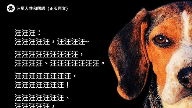 內政部多國語言防疫　彩蛋是這汪星人