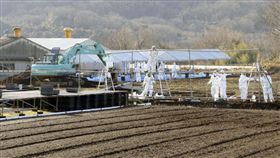 日本岐阜縣今（29）日宣布，各務原市一處養豬場爆發豬瘟疫情，這是岐阜縣養豬設施傳出的第7例豬瘟，岐阜縣已提出陸上自衛隊撲殺1800頭豬隻的要求。（圖／翻攝自@news_type_c推特）