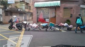 接龍,貪食蛇,板橋／臉書我是板橋人