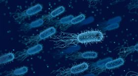 超級細菌,抗生素,抗藥性,死亡,北極,醫療,傳播,衛生 圖／翻攝自Pixabay https://goo.gl/KZZFSZ