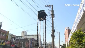 景觀燈設計像辦喪　風水師直言帶煞氣