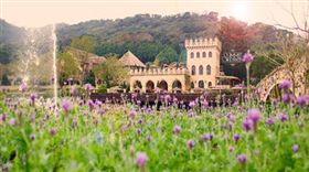 過年走春景點。