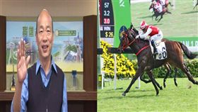 韓國瑜想發展賽馬