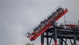 賞花博！麗寶樂園祭出市民+親友　全面博幼價吸客順遊