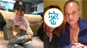 蔡依林,爸爸／翻攝自蔡依林IG