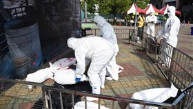 南投縣非洲豬瘟防疫演練南投縣政府30日舉辦非洲豬瘟緊急防疫模擬演習，模擬肉品市場發現病豬後，到養豬場撲殺等防疫作為，呼籲全民合作防疫，將疫情阻絕境外。（南投縣政府提供）中央社記者蕭博陽南投縣傳真　108年1月30日