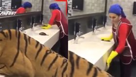 老虎,清潔阿姨,廁所,洗手台,俄羅斯,戰鬥民族
https://www.youtube.com/watch?v=TZaJGg1BcUk