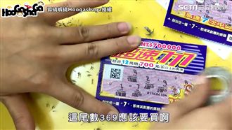 刮刮樂這些尾數都中？他實測：要買！