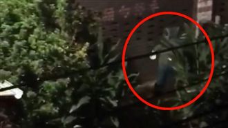 車庫口遭擋埋恩怨　惡鄰半夜潑漆報復