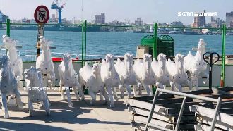 高雄旋轉木馬被拆　網諷：改騎賽馬吧