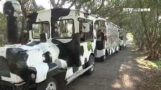 過年不想在家？來去老牌牧場烤肉露營