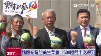 魏應充行銷美生菜　出口中國10貨櫃