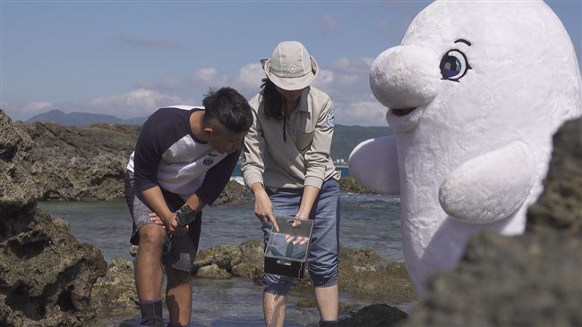 小白鯨帶你玩遍恆春半島社區生態旅遊