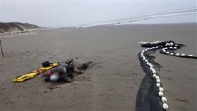 苗栗,竹南,浮屍,殉情,紅線（圖／翻攝畫面）