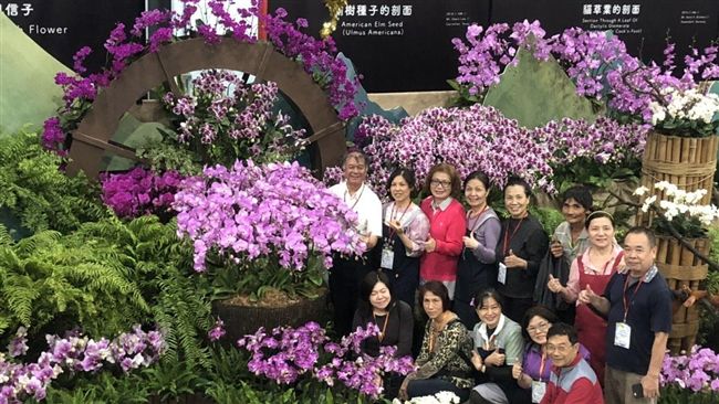 花博新春迎喜氣　外埔園區蝴蝶蘭特展