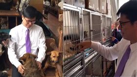 行政院副院長陳其邁之前開直播時，愛貓「陳小米」亂入，讓陳其邁的「貓奴屬性」曝光，意外成了目光焦點！昨（1）日陳其邁到台南將軍的徐園長護生園，關心流浪動物議題，陳其邁不僅主動與園中的毛小孩抱抱、擊掌，還伸手撫摸籠子中的小貓，可以說是「父愛噴發」！（圖／翻攝自陳其邁臉書）