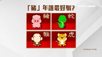 虎男易陷桃色陷阱…豬年這生肖最好騙