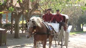 埔心打卡夯0800(2月底前勿刪)