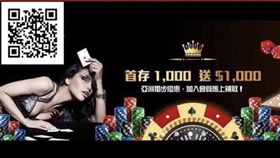 台北市刑大破獲金濠娛樂集團，一舉逮獲藍姓女員工等人，孰料藍女竟是高階警官女兒，叔叔還是十大要犯藍元昌（翻攝畫面）